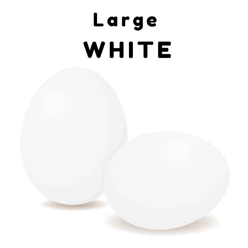 white eggs