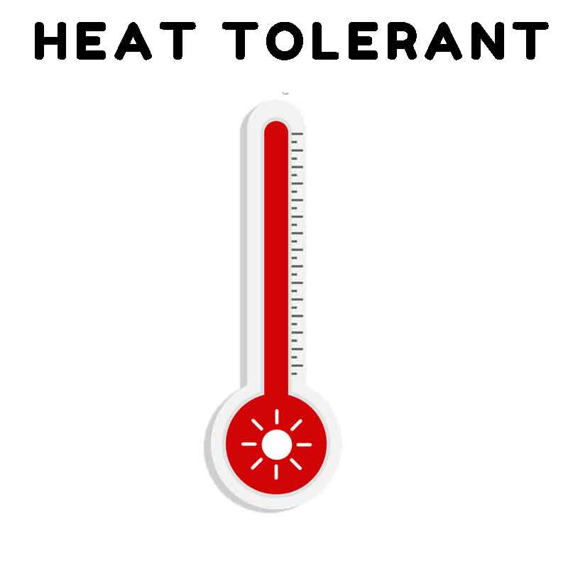 heat tolerant