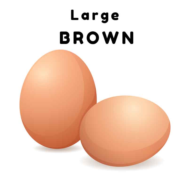 brown eggs