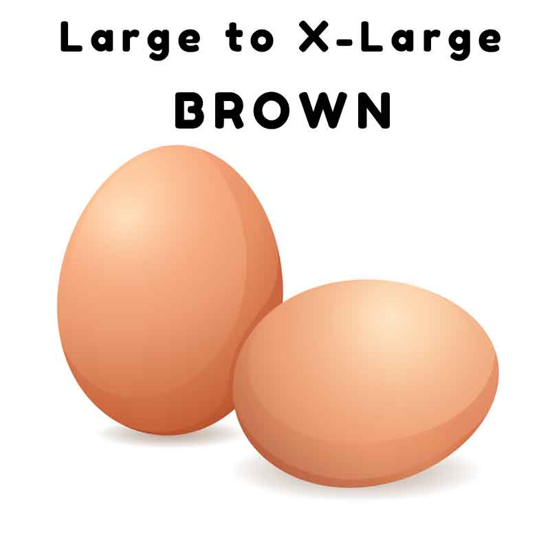 brown eggs