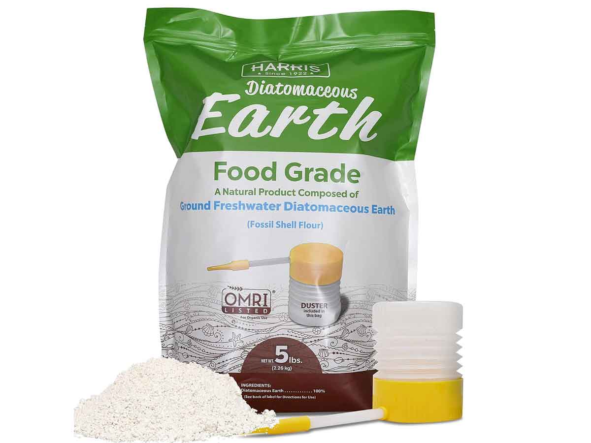 diatomaceous earth